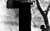 Cinnamon Girl from “Live at The Cellar Door”
